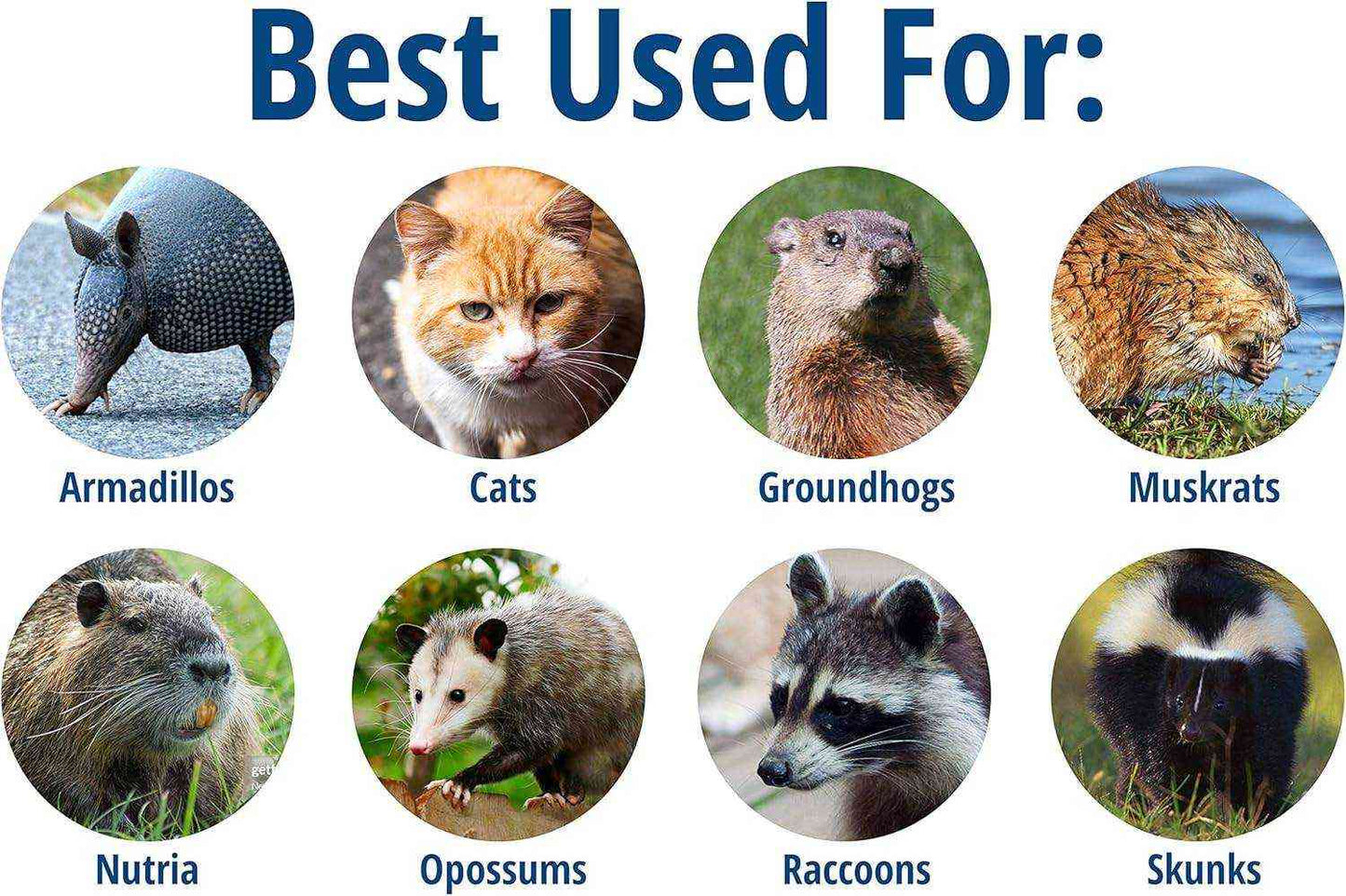 Trap use chart showing suitability for armadillos, cats, groundhogs, muskrats, nutria, opossums, raccoons, and skunks