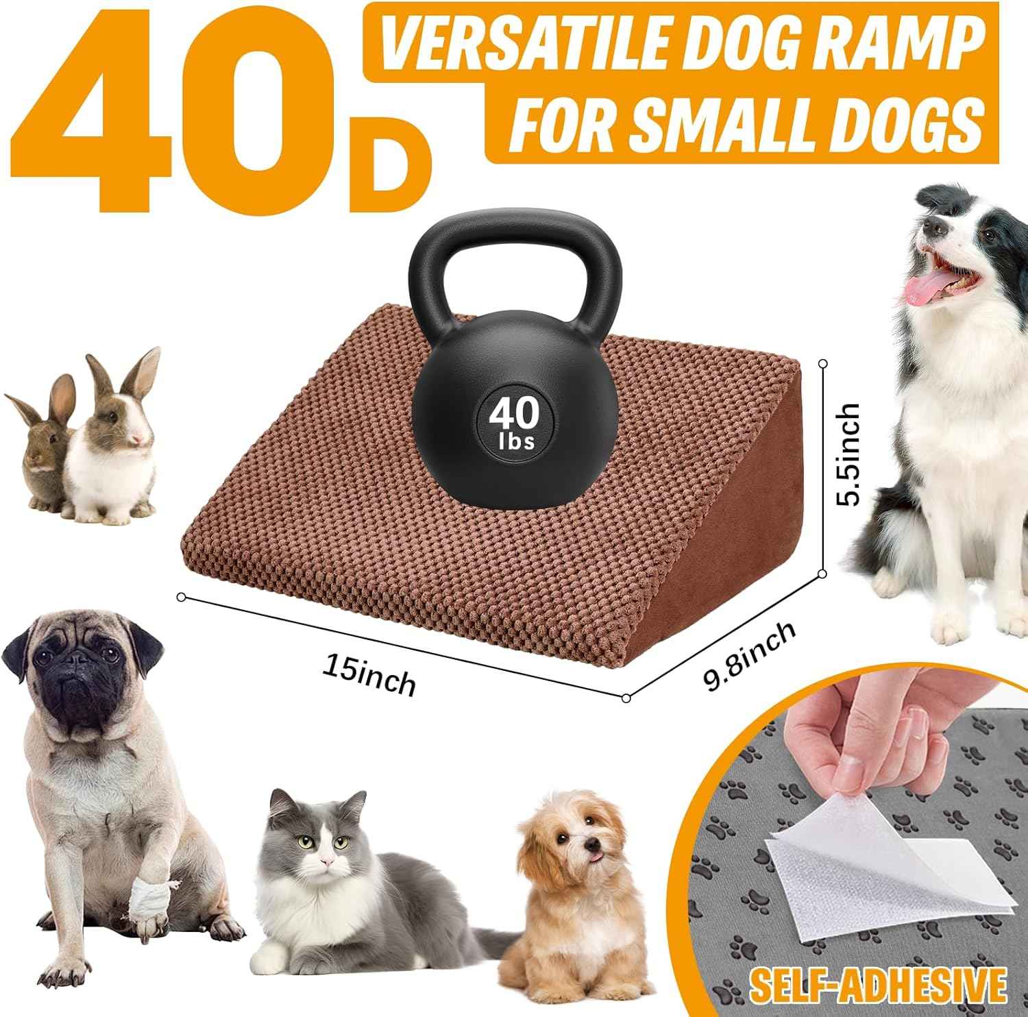 Infographic showing 40D dog ramp features weight capacity of 40lbs