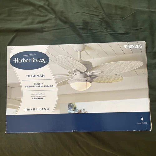 Two-light white ceiling light kit featuring frosted glass dome shades, decorative metal rims, and pull-chain, in the box