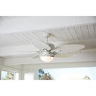 Two-light white ceiling light kit featuring frosted glass dome shades, decorative metal rims, and pull-chain handles against a plain white background kit installed on a white ceiling fan