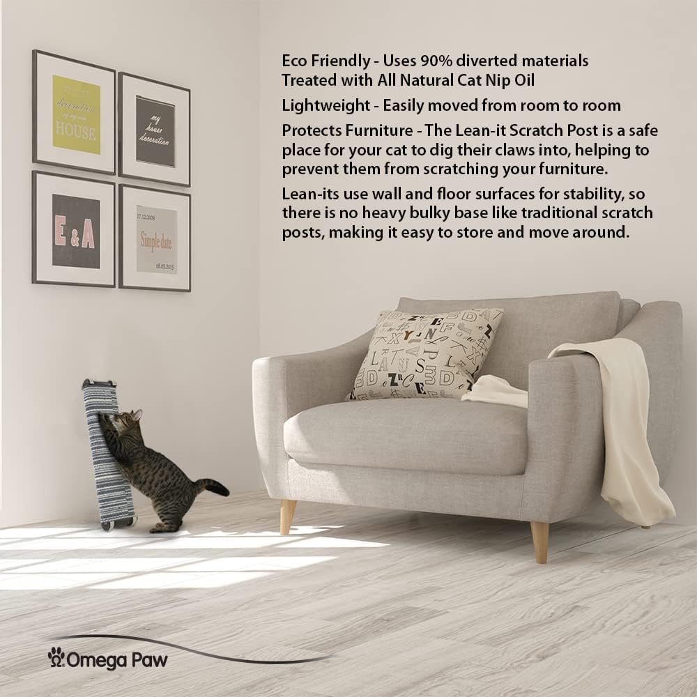 Cat using a Lean-It Scratch Post next to a gray sofa in a room with framed pictures on the wall.