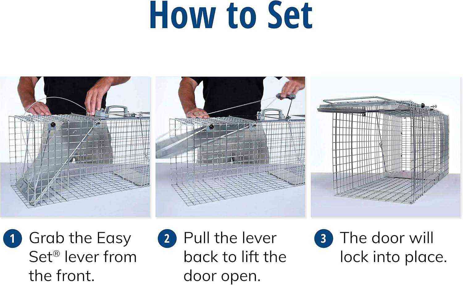 Step-by-step guide to set the Havahart 1085 animal trap