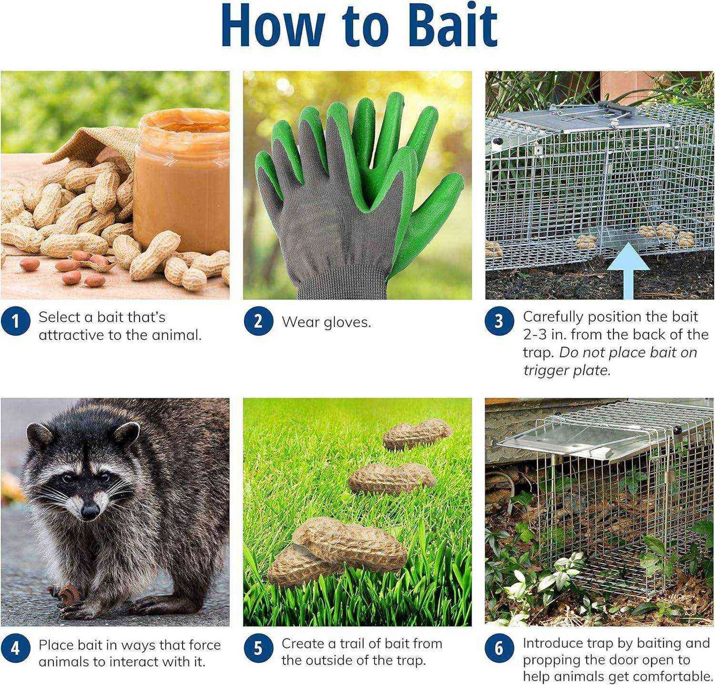 Baiting instructions for Havahart trap with images of bait, gloves, raccoon, and trap placement