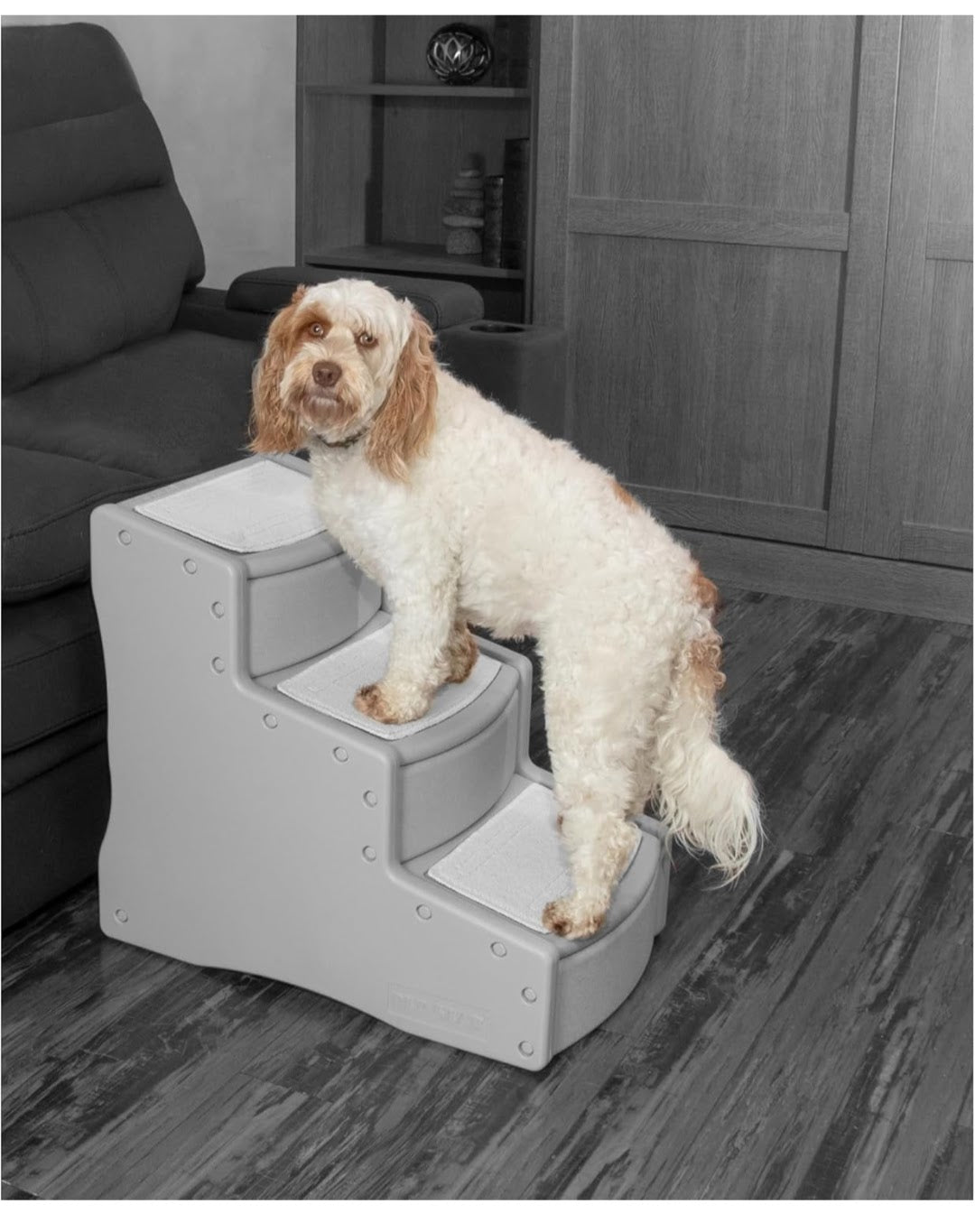 Dog using a set of gray pet steps in a living room.