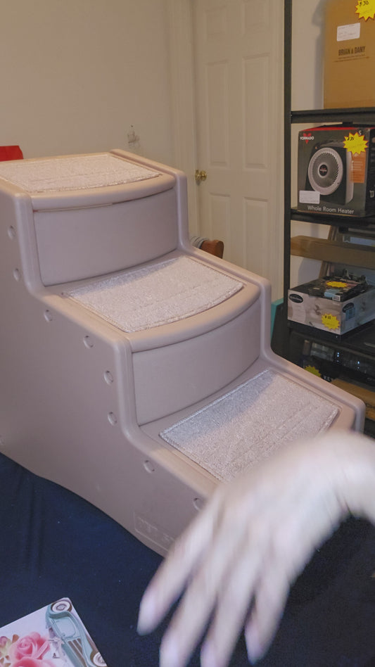 Video of the pet ramp put together